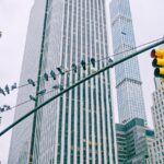 La melancolía de las líneas eléctricas: por qué los pájaros no se electrocutan al posarse, pero sí las cigüeñas