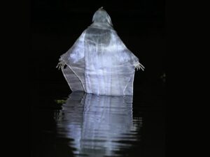 la-llorona-en-xochimilco-obra-