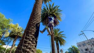 thumb_24338_640_360_0_0_crop