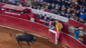Suprema Corte no unifica postura sobre corridas de toros en México