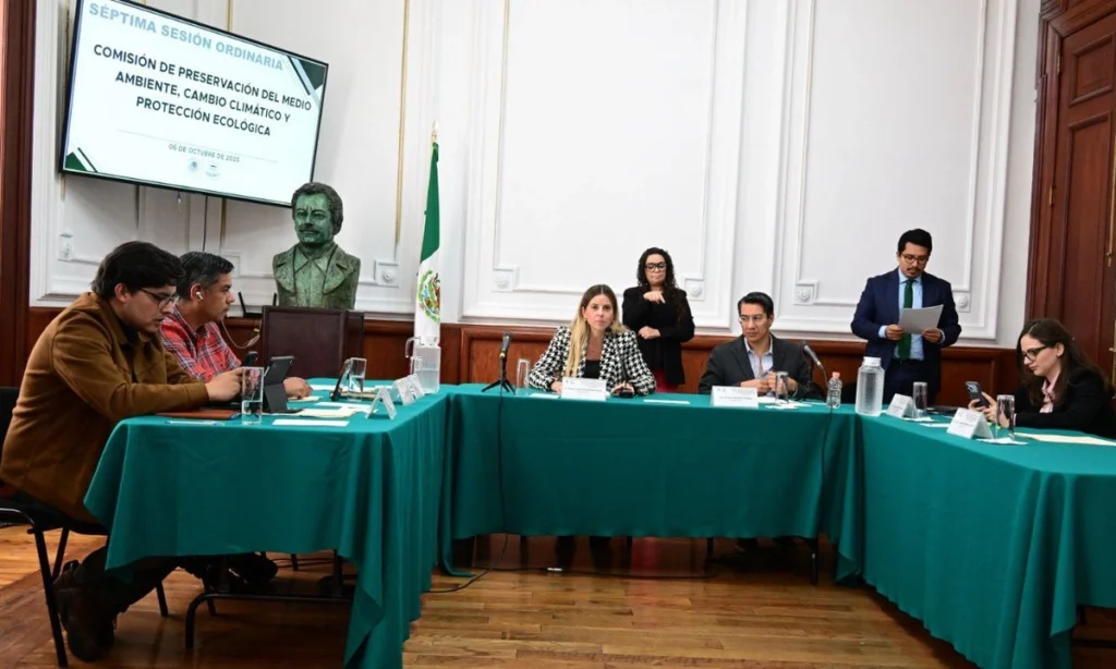 designa-comision-del-congreso-cdmx-a-monica-alegre-como-titular-de-la-paot_a2e51c71-083e-4de8-b42f-ca899d15b60c_medialjnimgndimage=fullsize