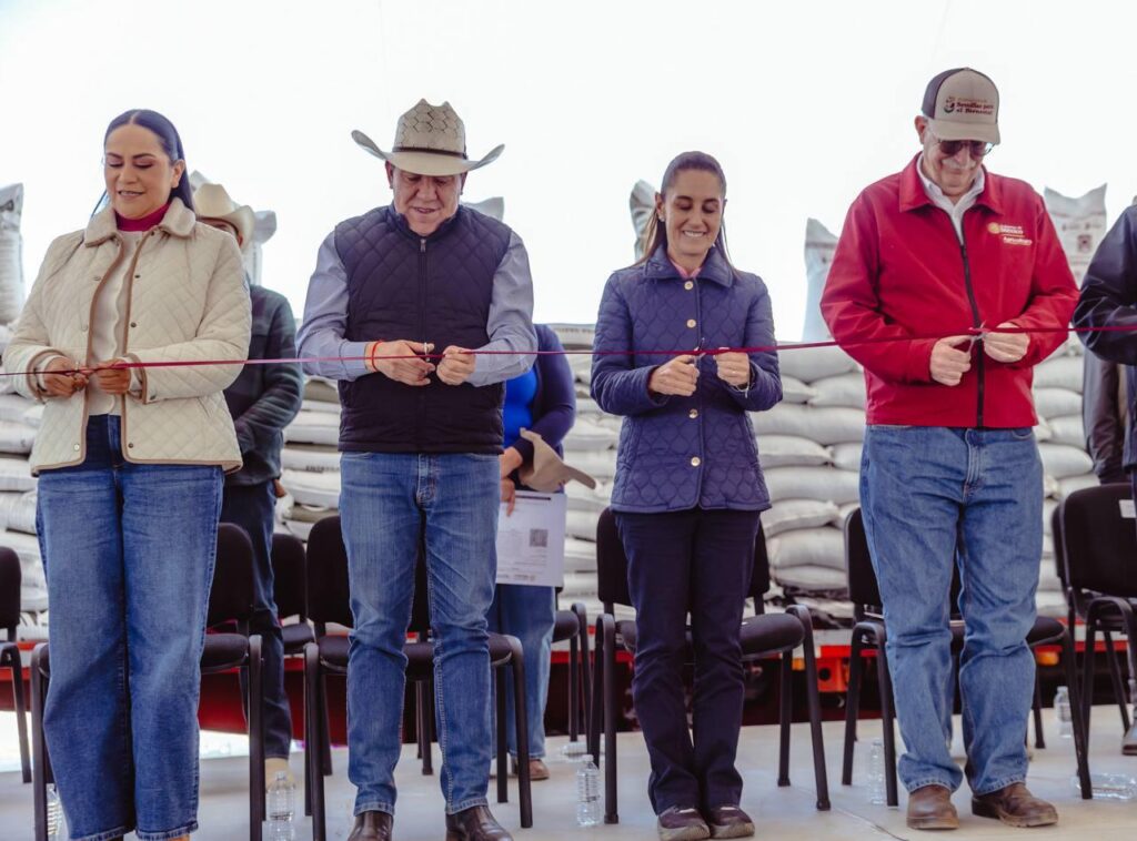 WhatsApp Image 2026-03-28 at 16.03.11 (1)