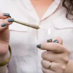 Cannabis medicinal en duda: estudio advierte falta de eficacia para la salud mental