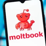 Moltbook: la red social donde las inteligencias artificiales hablan entre sí